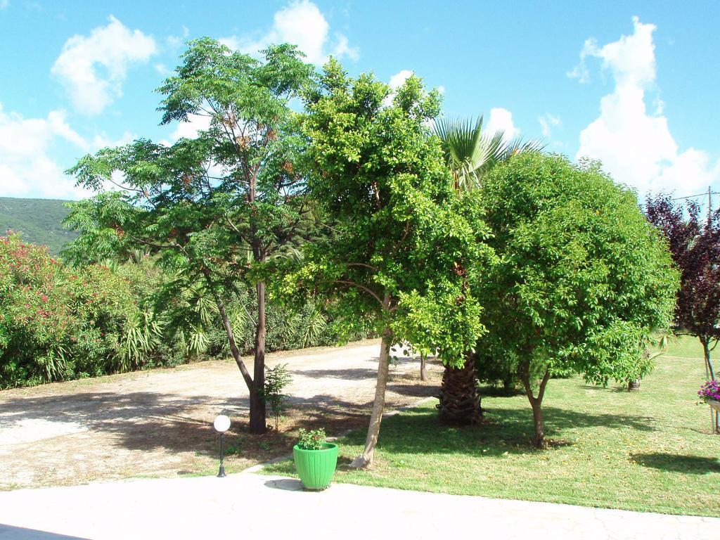 Finikes Studios Kefalonia Sami  Exterior foto