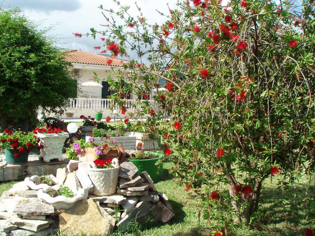Finikes Studios Kefalonia Sami  Exterior foto