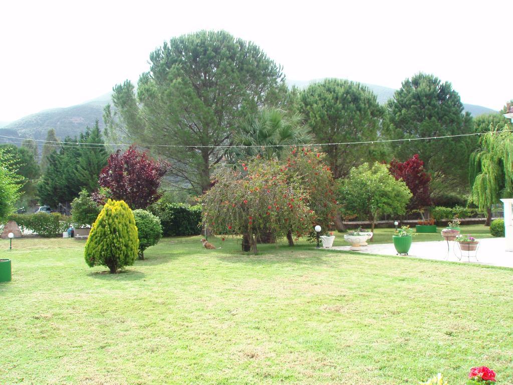 Finikes Studios Kefalonia Sami  Exterior foto