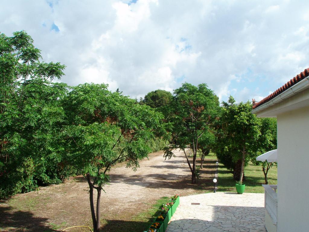 Finikes Studios Kefalonia Sami  Exterior foto